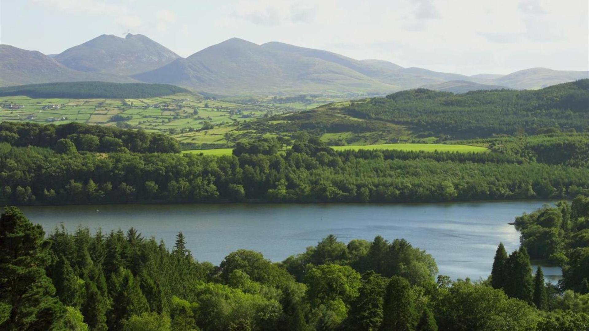 Oaktree Manor Villa Castlewellan Dış mekan fotoğraf
