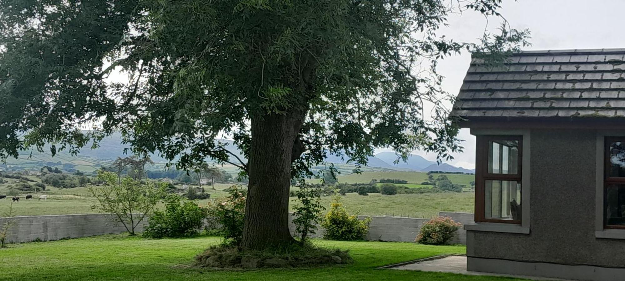 Oaktree Manor Villa Castlewellan Dış mekan fotoğraf